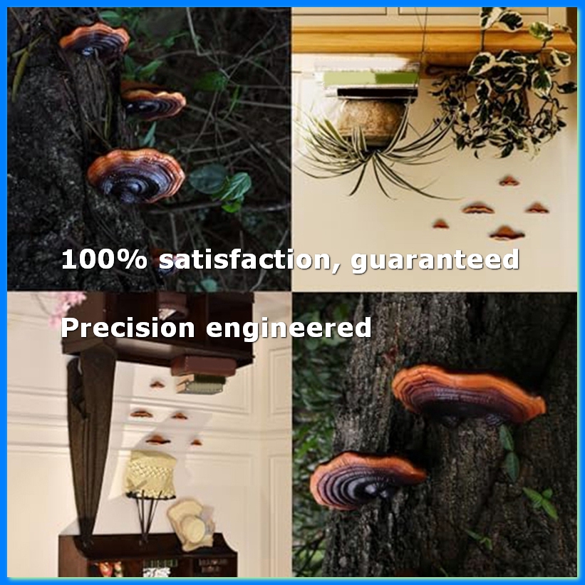 Floating Shelves - Set of 5 Mushroom Shelf Wall