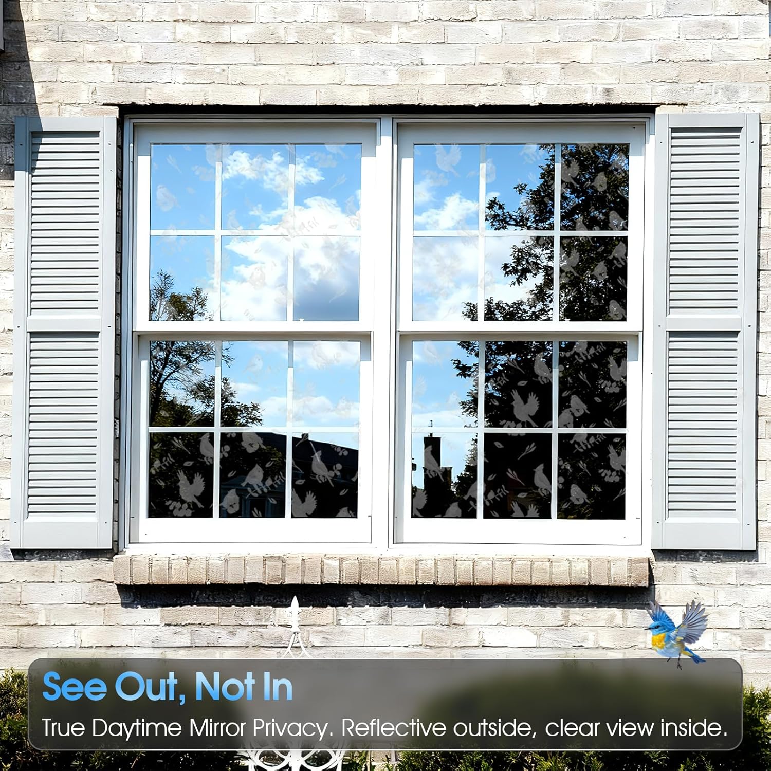 One Way Privacy Window Film fo - Home Decor Free Images review and price