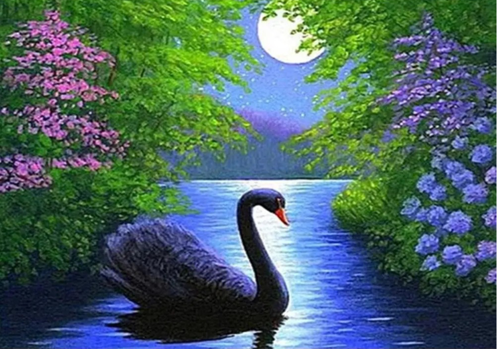 1000/500 PCS Jigsaw Black Swan - Home Decor Under 1000 review and price