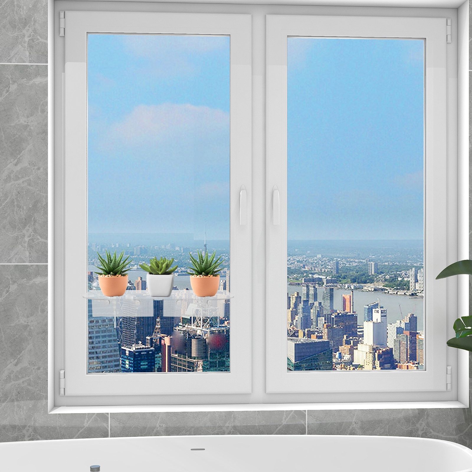 12 Inch Suction Cup Window Pla - Floating Shelves review and price