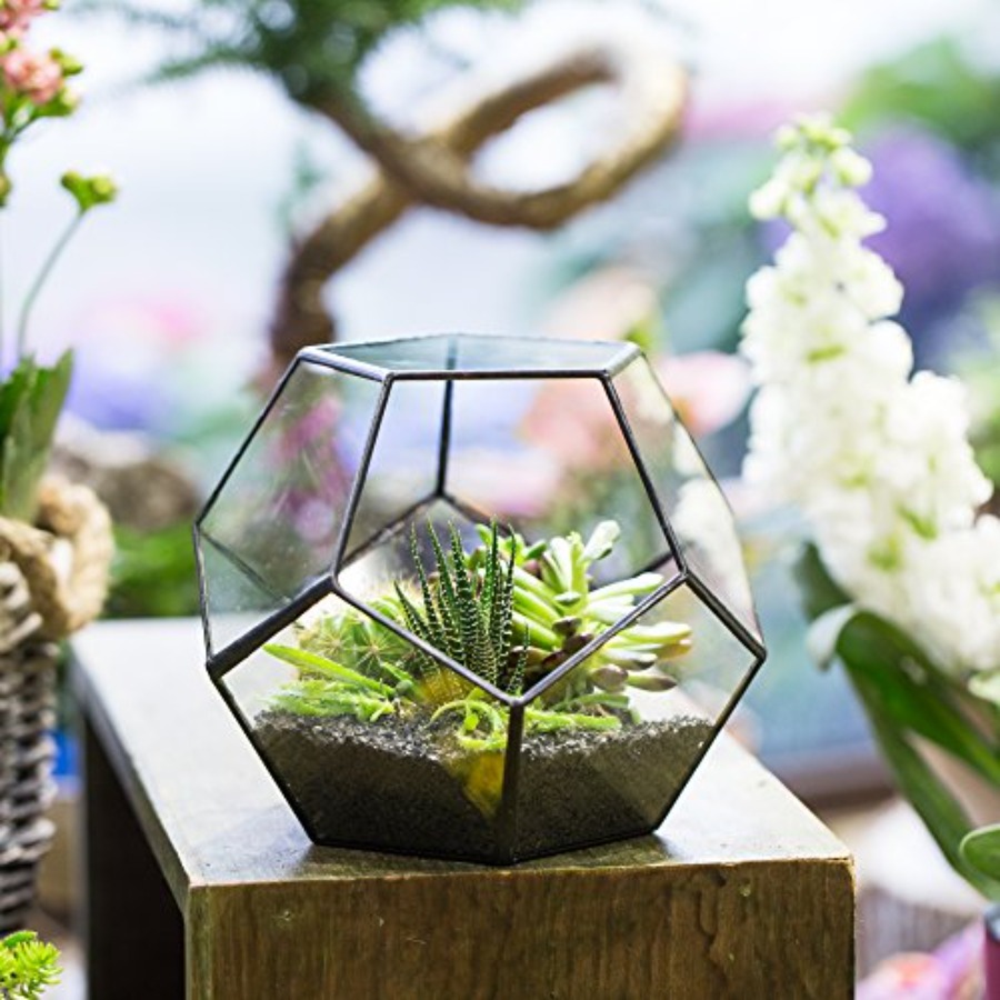Glass Terrarium for indoor hom - Home Decor Garden Ideas review and price