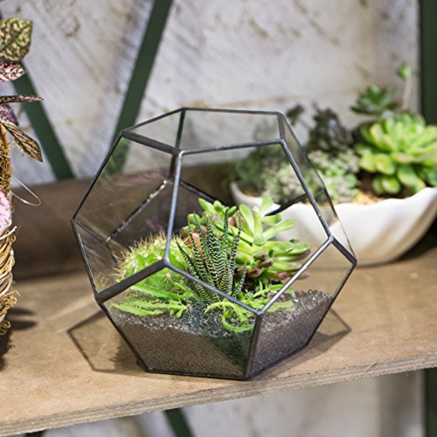 Glass Terrarium for indoor hom - Home Decor Garden Ideas review and price