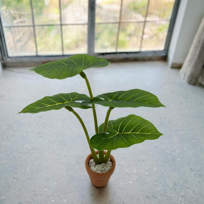 1Pcs Dollhouse Philodendron Mi - Home Decor Resin review and price