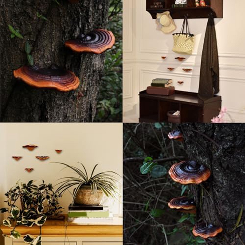 Set of 5 Mushroom Shelf Wall D - Floating Shelves review and price